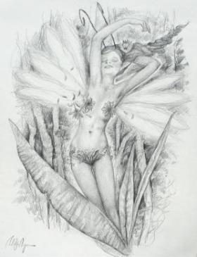 Drawings of fairies 6