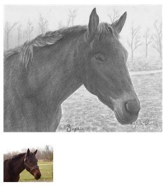Pencil Drawing of a Horse 2