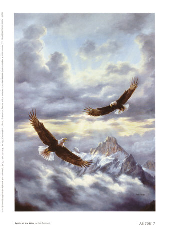 Bald Eagle Drawings - Buy at Art.com