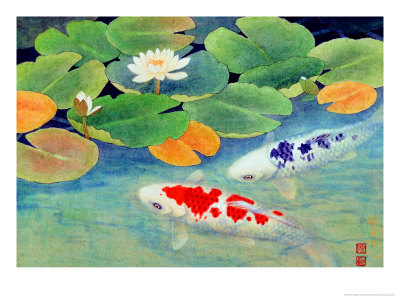 Koi Fish Drawings - Buy at Art.com