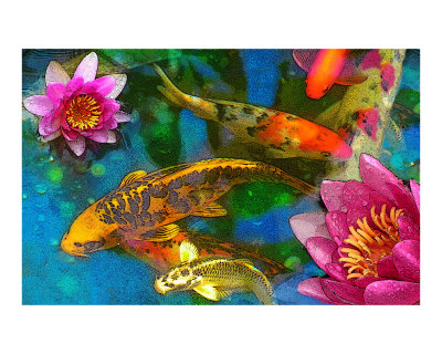 Koi Drawings and Paintings - Buy at Art.com