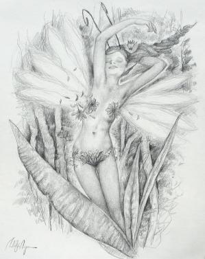 Drawings of fairies 6