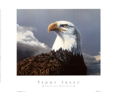 Bald Eagle Drawings - Buy at Art.com