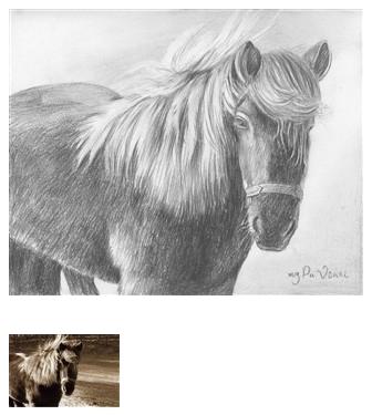 Pencil Drawing of a Horse 1