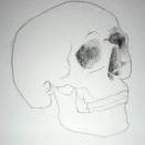 Pencil drawing of a skull - Sketch 6