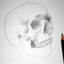 Pencil drawing of a skull - Sketch 7