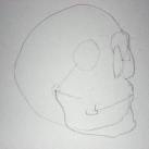 Pencil drawing of a skull - Sketch 3