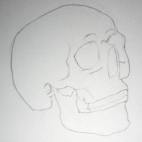 Pencil drawing of a skull - Sketch 5