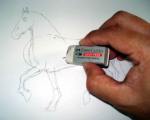 A horse sketch 4