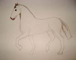 Toning in pencil drawing of a horse