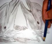 Continue to add water to your dolphin drawing