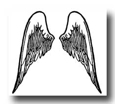 A pair of Angel wings drawing