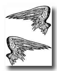 Drawings of angel wings
