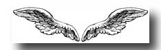 Drawings of angel wings