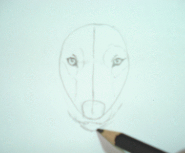 A Wolf Sketch 6