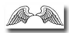 A pair of Angel wings drawing
