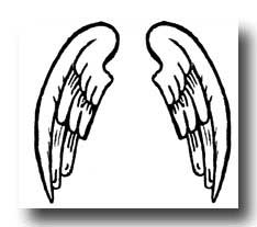 A pair of Angel wings drawings