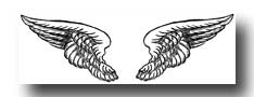 Drawings of angel wings