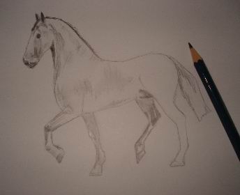 Toning in pencil drawing of a horse
