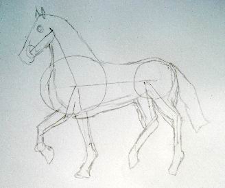 A horse sketch 3