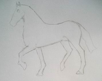 Line sketching in pencil drawing of a horse