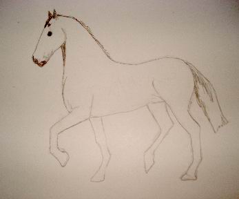 Toning in pencil drawing of a horse