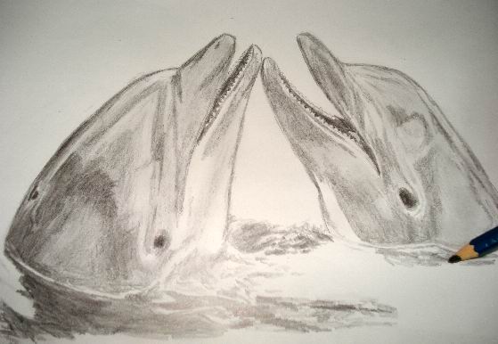 Images For  Pencil Drawings Of Dolphins  Художественная роспись Рисунки  Дельфины