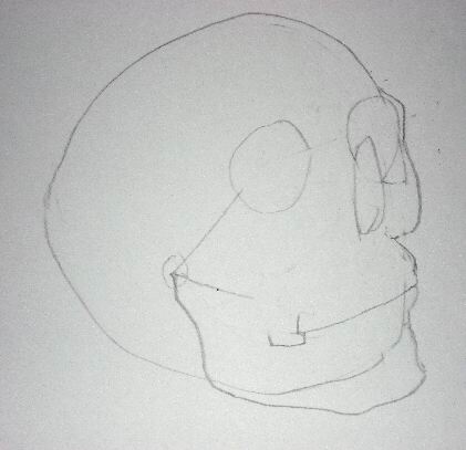 Pencil drawing of a skull - Sketch 3