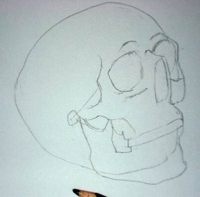 Pencil drawing of a skull - Sketch 4