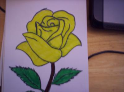 Rose Drawing