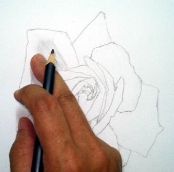 Rose sketch hand rubbing